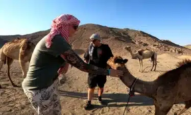 Super Safari Hurghada – Desert Adventure with Quad, Jeep & Bedouin Dinner