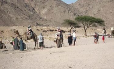 Super Safari Hurghada – Desert Adventure with Quad, Jeep & Bedouin Dinner