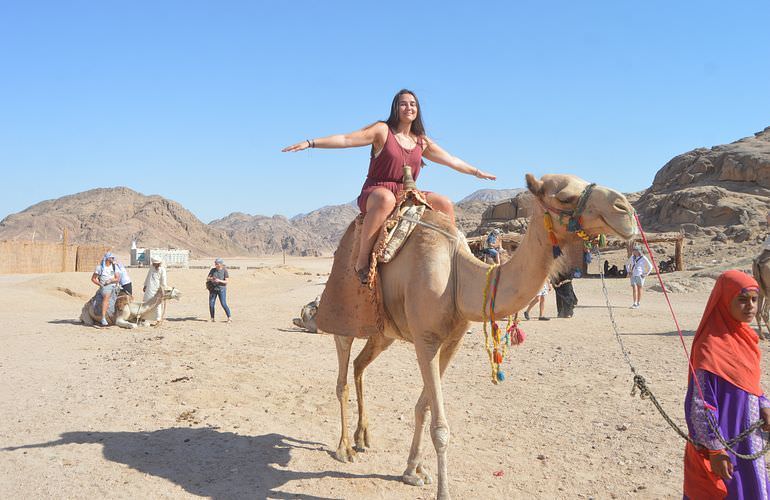 Super Safari Hurghada – Desert Adventure with Quad, Jeep & Bedouin Dinner