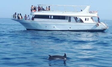 Private Boat Trip Hurghada