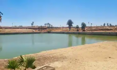 Luxor East Bank Day Tour visiting Karnak Temple, Luxor Temple, and the Avenue of Sphinxes