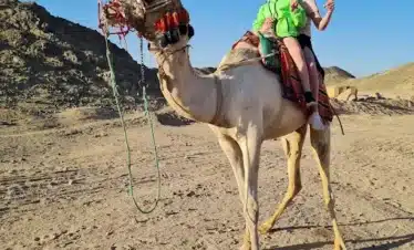 Morning quad bike safari Hurghada desert