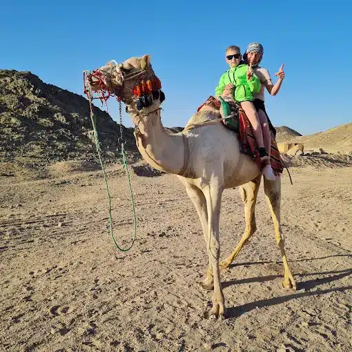 Morning quad bike safari Hurghada desert