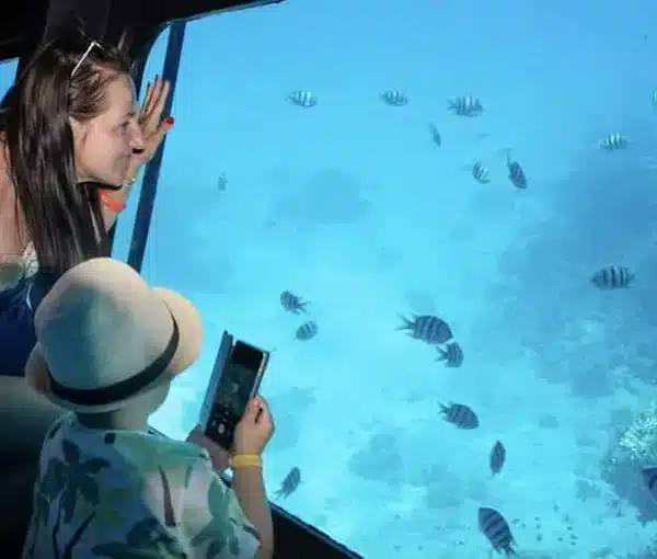 Royal Sea Scope Hurghada panoramic coral reef viewing