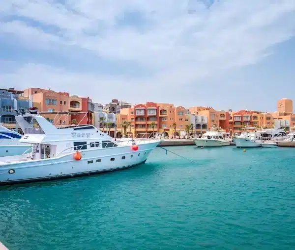 Snorkeling in the Red Sea during Orange Bay trip from Hurghada