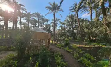 Authentic Egyptian countryside lunch on a Dahshur tour from Cairo