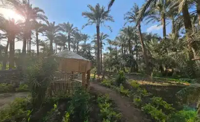 Authentic Egyptian countryside lunch on a Dahshur tour from Cairo