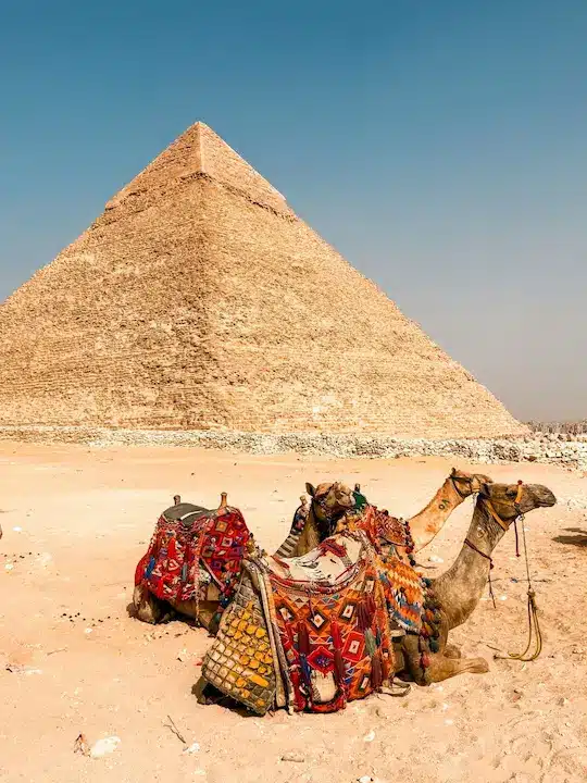 Hurghada to Cairo Day Trip: Is It Worth It in 2026? The Pyramids of Giza during a private Cairo day trip from Hurghada