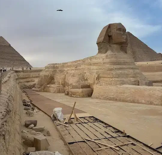 Hurghada to Cairo Day Trip: Is It Worth It in 2026? The Great Sphinx of Giza during a Cairo day tour from Hurghada