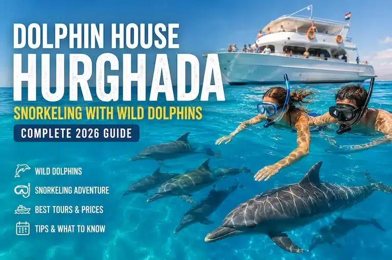 Dolphin House Hurghada: Is Swimming with Wild Dolphins Worth It in 2026?